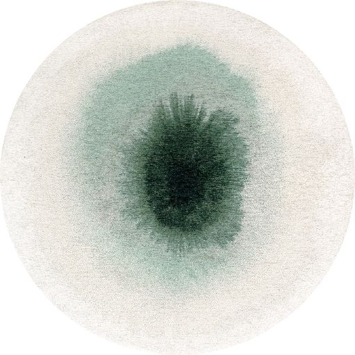 DR- 501 : Tapis en Jacquard