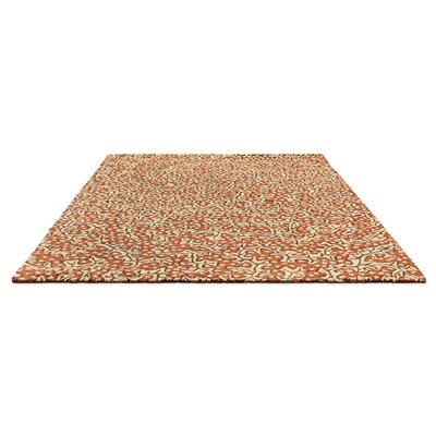 SA-46003 : Tapis intérieur / extérieur