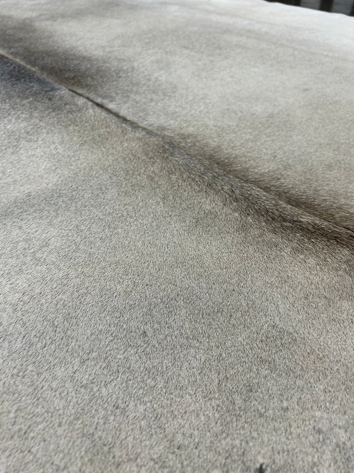 S-6 : Tapis peau de vache - Moyenne ivoire