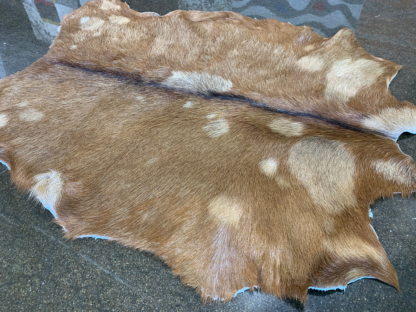 PC-1 : Tapis peau de chèvre - Très petite brune