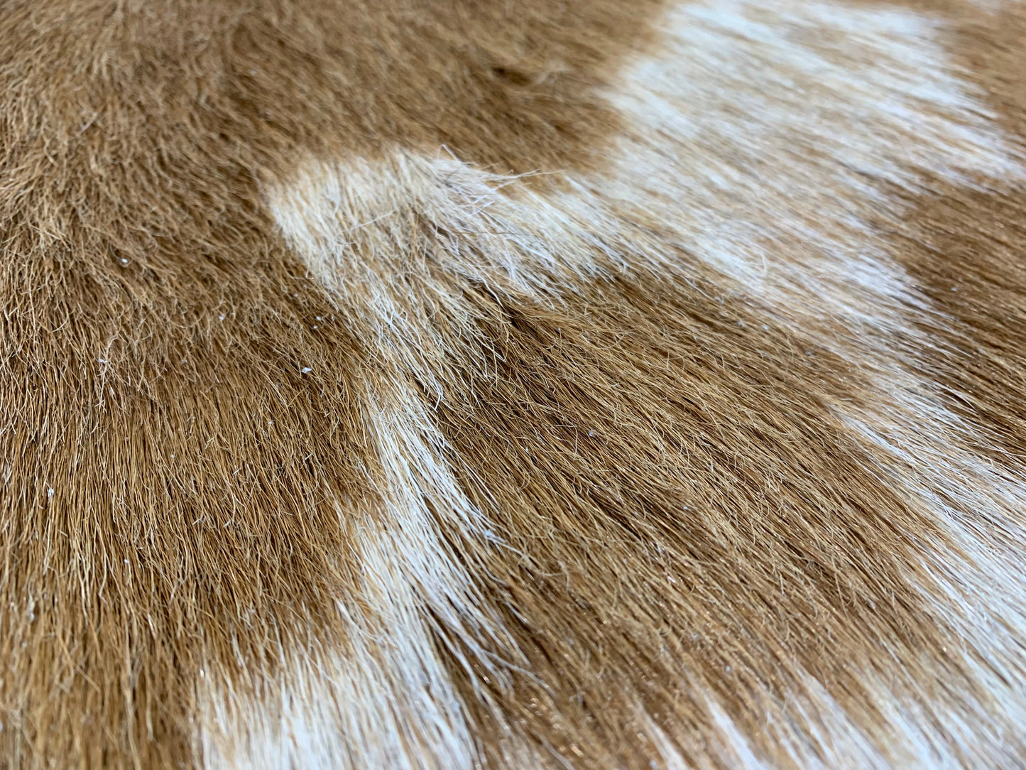 PC-2 : Tapis peau de chèvre - Très petite tachetée brune