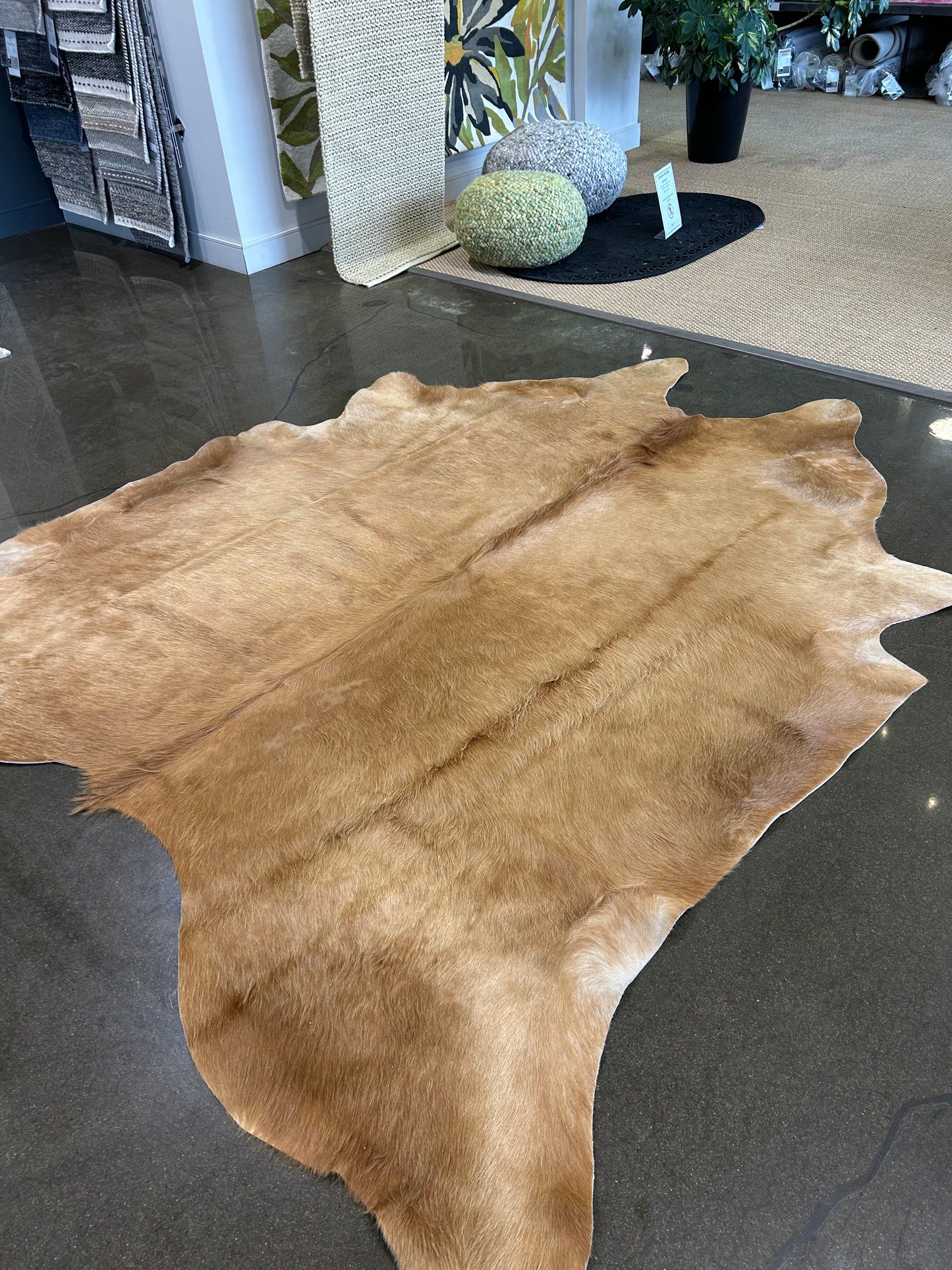LL-9 : Tapis peau de vache - Très grande dorée