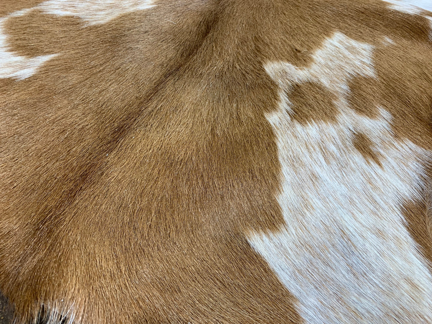 PC-2 : Tapis peau de chèvre - Très petite tachetée brune