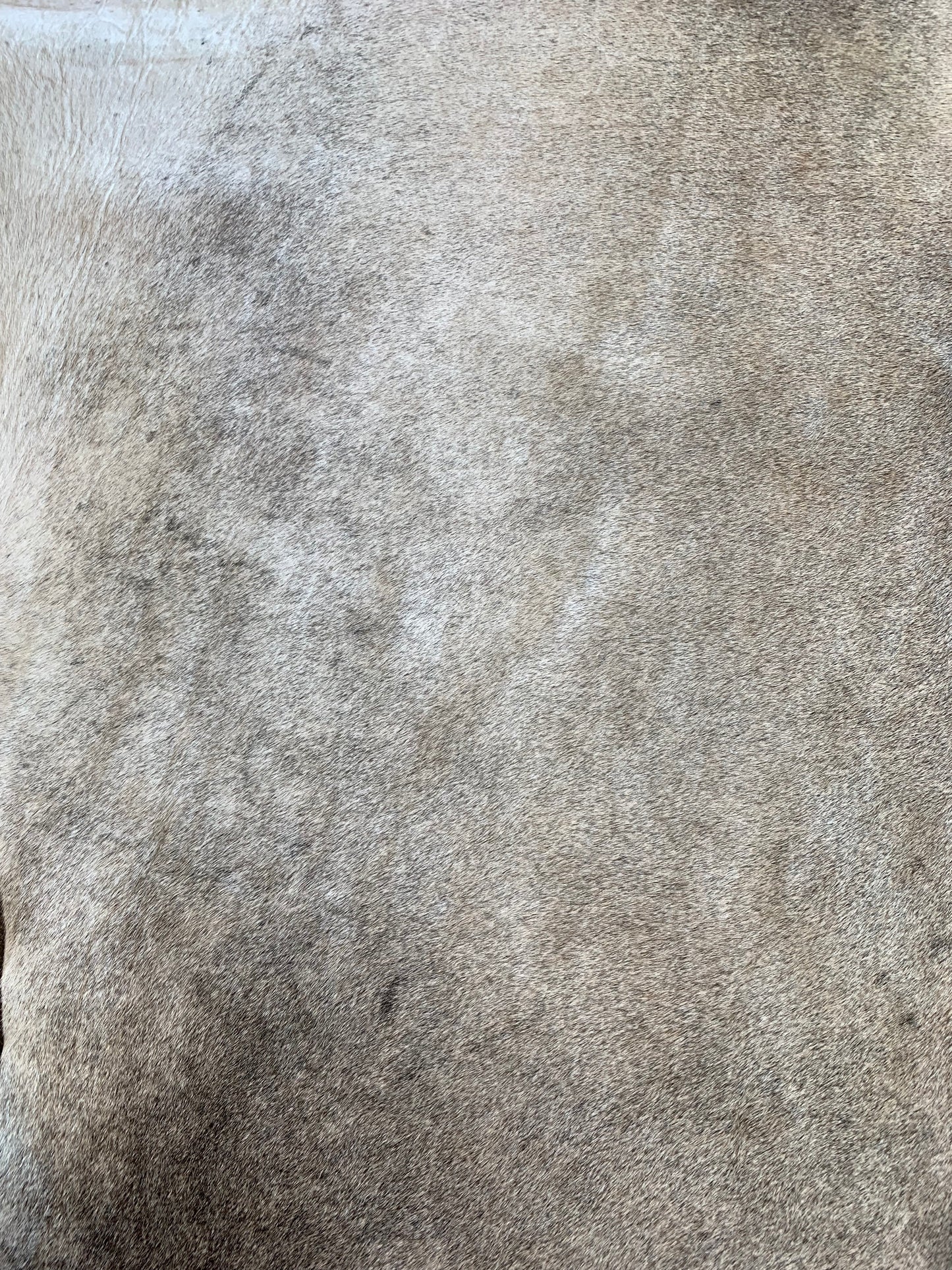 S-7 : Tapis peau de vache - Moyenne noire et grise