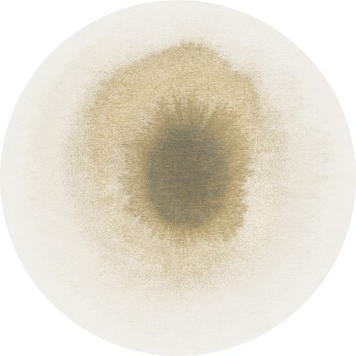 DR- 401 : Tapis en Jacquard