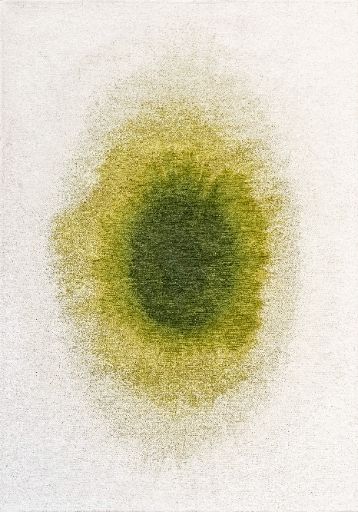 DR- 601 : Tapis en Jacquard