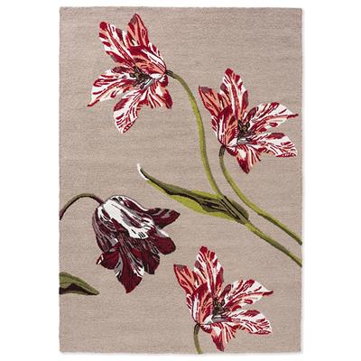 TB-55610: TED BAKER indoor/outdoor rug