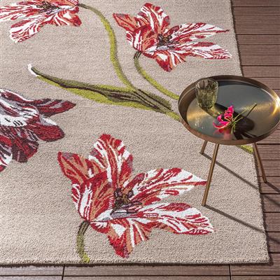 TB-55610: TED BAKER indoor/outdoor rug