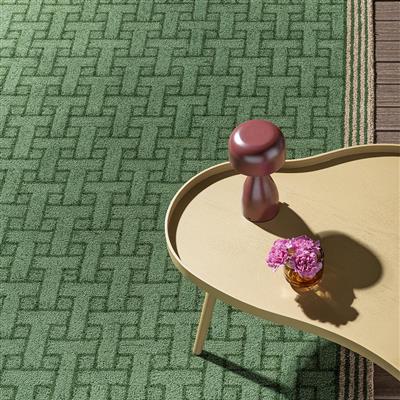 TB-55807: TED BAKER indoor/outdoor rug