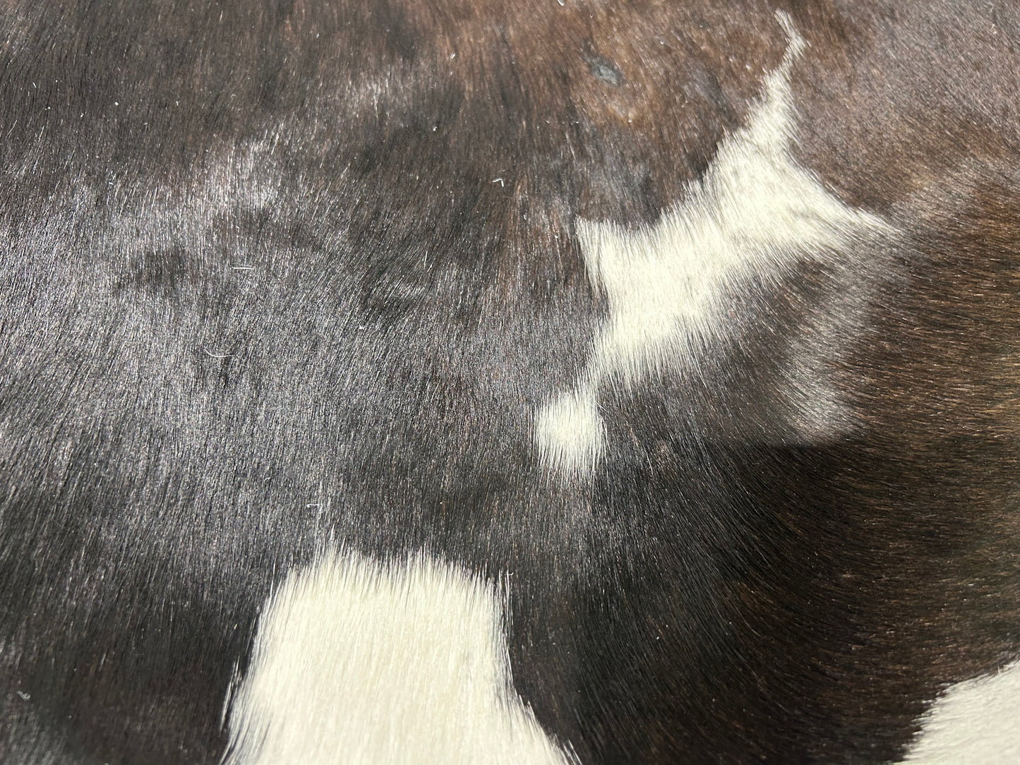 S-1: Cowhide rug - Medium black and white