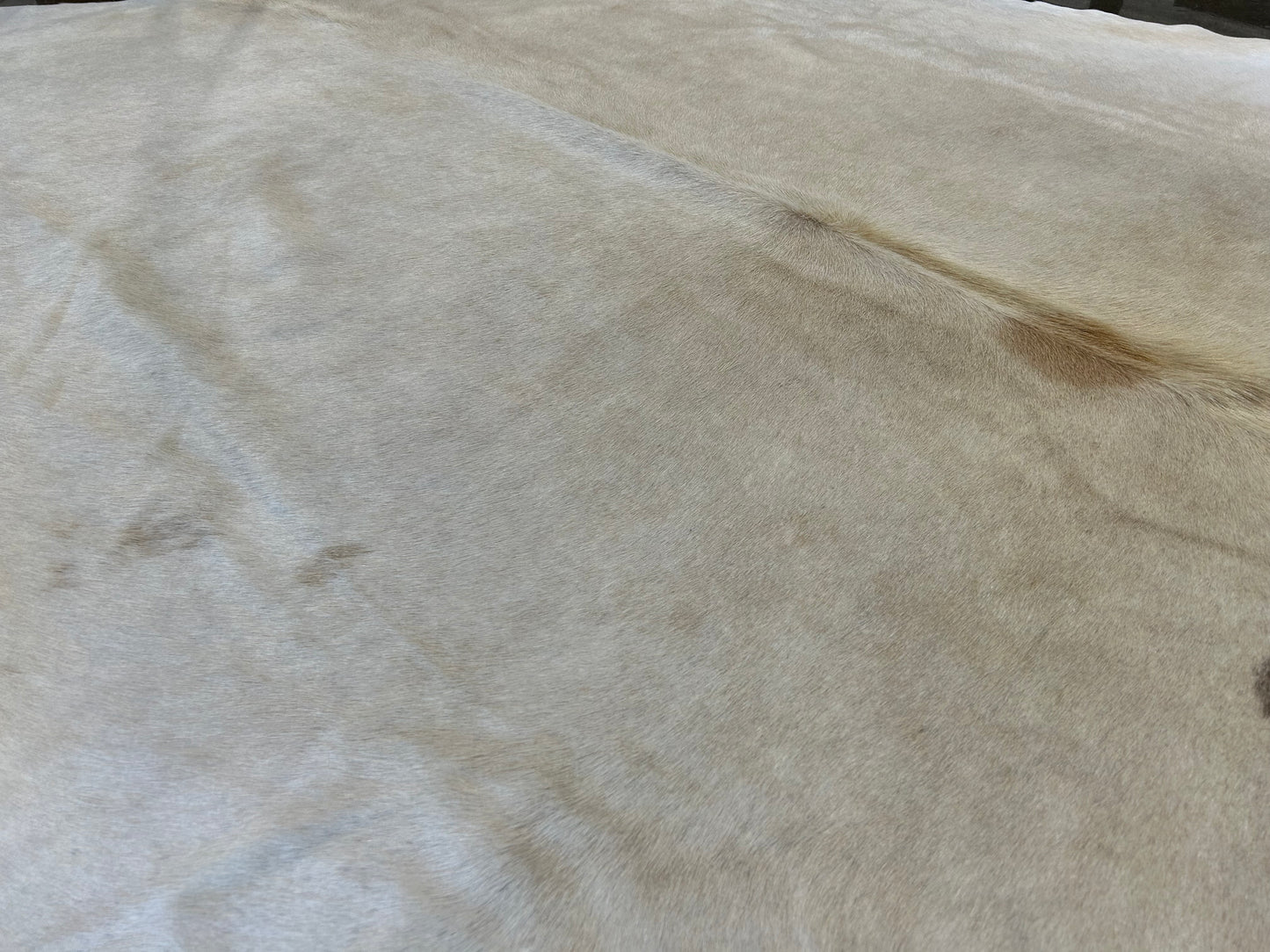 LL-7: Cowhide rug - Very large ivory / beige