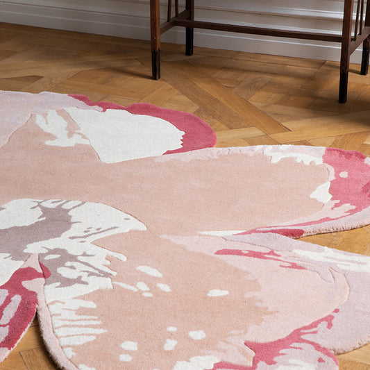 TB-62302: TED BAKER rug in tufted wool