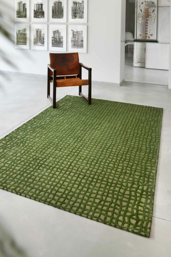 TR-101: Jacquard carpet