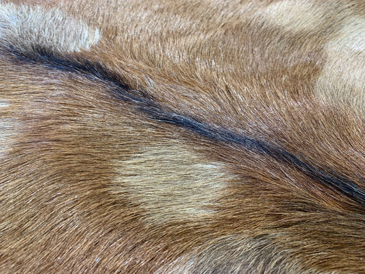 PC-1: Goat skin rug - Very small brown