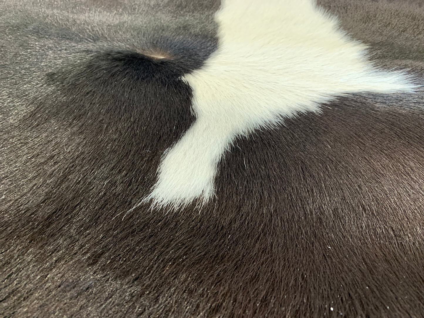 601-2 : Tapis peau de vache - Très petite tachetée noire