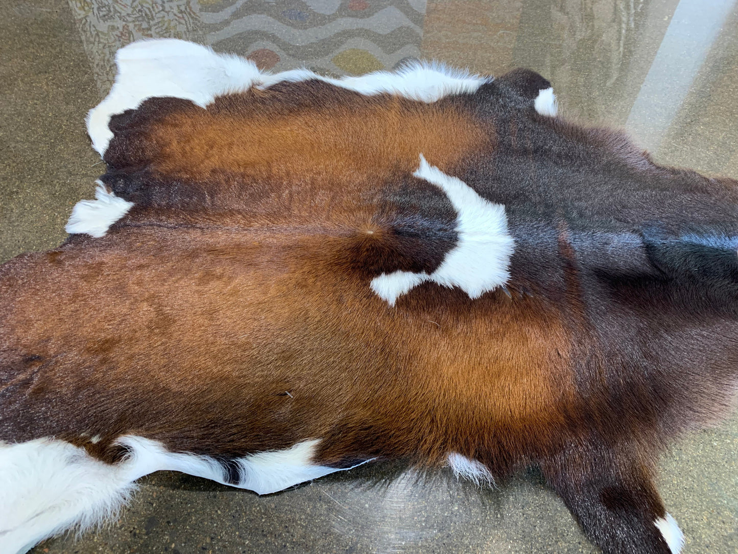 601-4: Cowhide rug - Very small brown and white