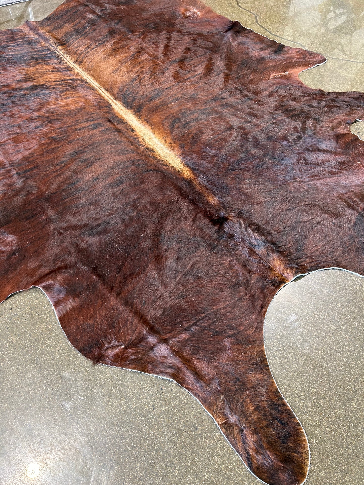 LL-2: Cowhide rug - Very large brown and ivory striped
