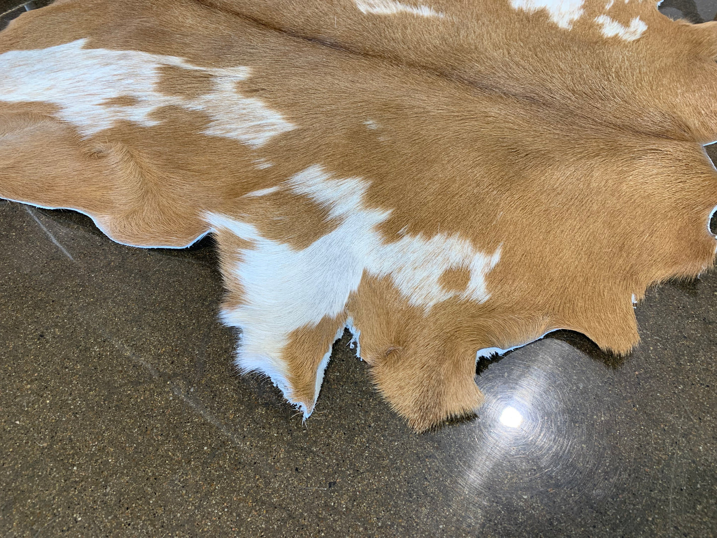 PC-2: Goat skin rug - Very small brown spotted