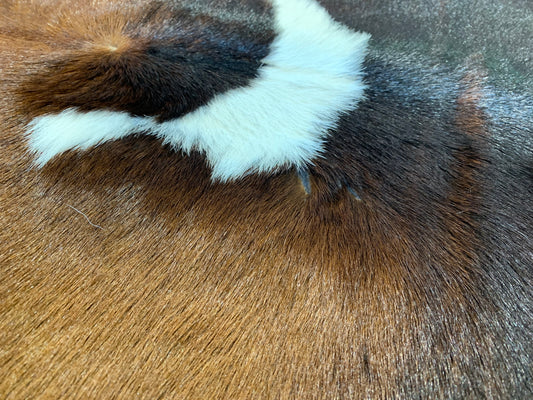 601-4: Cowhide rug - Very small brown and white