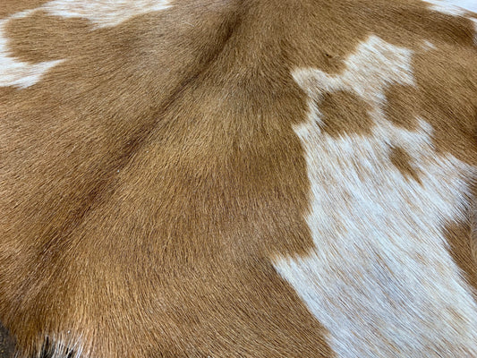 PC-2: Goat skin rug - Very small brown spotted
