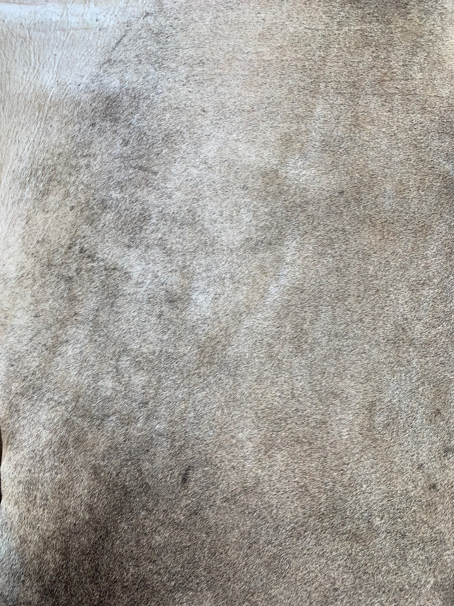 S-7: Cowhide rug - Medium black and gray