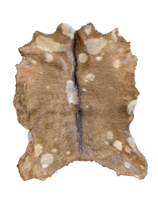 PC-1: Goat skin rug - Very small brown